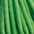 Zielona fasola olbrzymia
